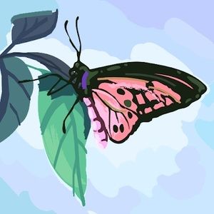 Meet your Posher, Andrea